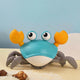 Baby Musical Crawl Crab