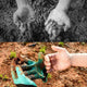 Garden Claw Glove